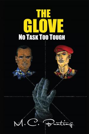 Cover of the book The Glove by David Paul Dzerigian