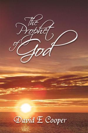 Cover of the book The Prophet of God by George McKinney