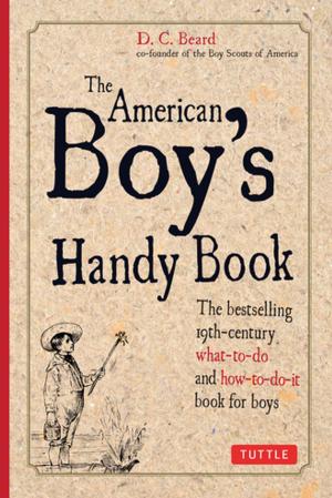 Cover of the book American Boy's Handy Book by Julien Sebastiani