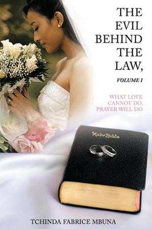 Cover of the book The Evil Behind the Law,Volume I by Leslie Lampe Long