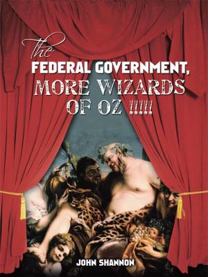 Cover of the book The Federal Government, More Wizards of Oz !!!!! by Clifford R. Ward Jr.