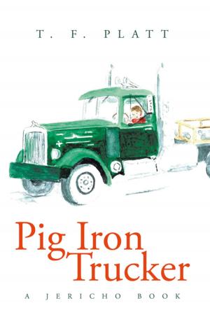 Cover of the book Pig Iron Trucker by Marjorie Murrow