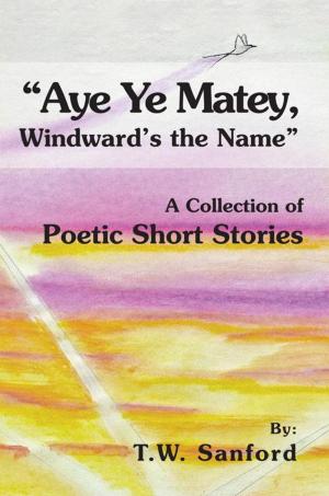 Cover of the book "Aye Ye Matey, Windward's the Name" by VIctoria Robinson