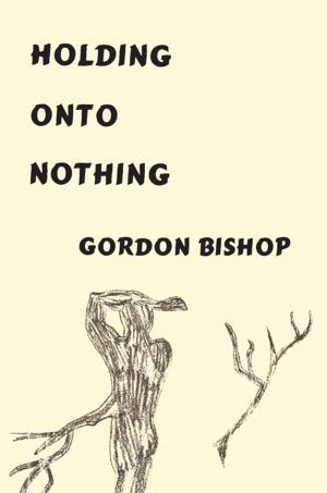 Cover of the book Holding onto Nothing by Lauri Allen