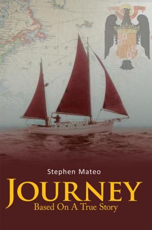 Cover of the book Journey by Martin Sicker