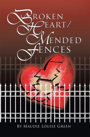 Cover of the book Broken Heart/Mended Fences by Jane Mayes