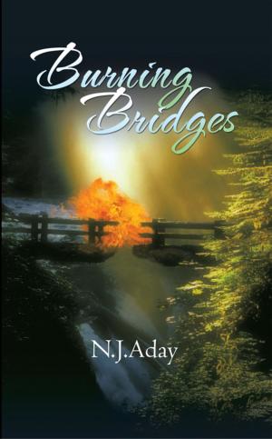Cover of the book Burning Bridges by Susan Graham
