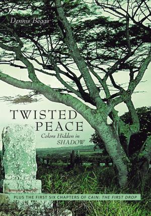 Cover of the book Twisted Peace Colors Hidden in Shadow by K.E. Andam