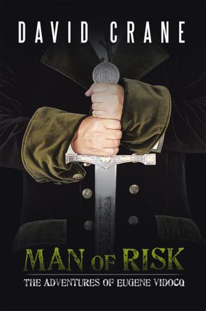 Cover of the book Man of Risk by Emilia Lafond