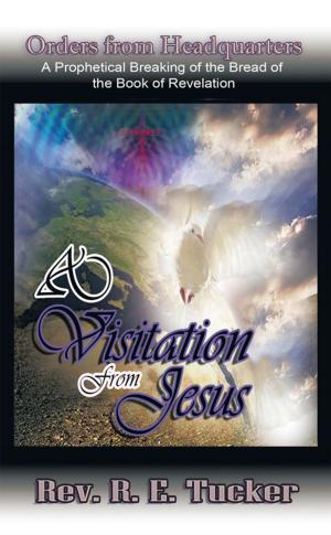 Cover of the book A Visitation from Jesus by Natalie Silverman