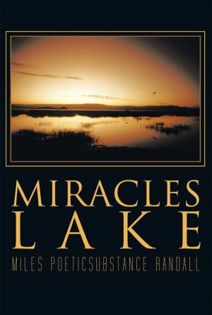Cover of the book Miracles Lake by Tamara V. Ester