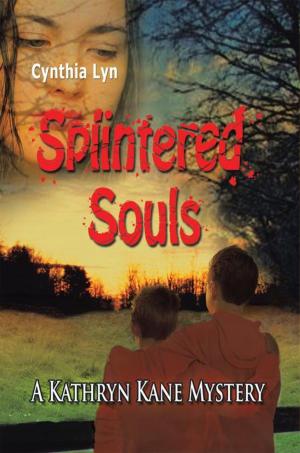 Cover of the book Splintered Souls by P.J. MacLayne