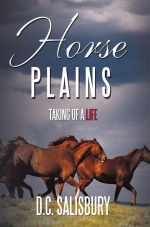 Cover of the book Horse Plains by William J. Baker Jr.