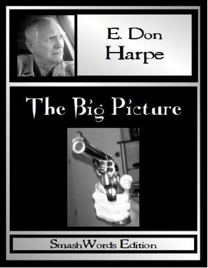 Cover of the book The Big Picture by Jane Holmes