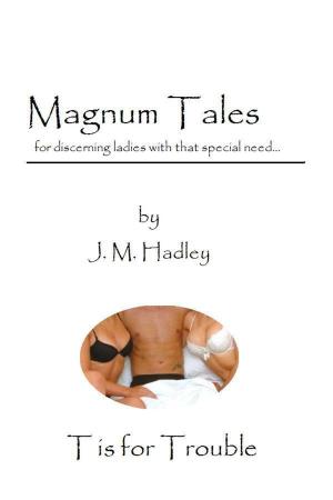 Cover of the book Magnum Tales ~ T is for Trouble by M. Hadley
