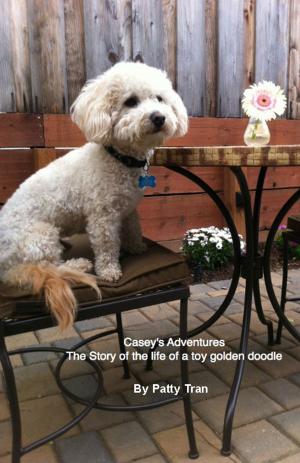 Cover of the book Casey's Adventures The Story of the life of a toy golden doodle by Giuseppe Tagliente