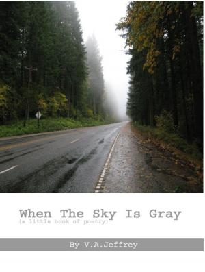 Cover of When The Sky Is Gray