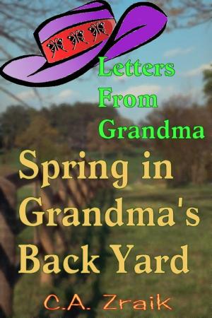 Book cover of Spring In Grandma's Back Yard