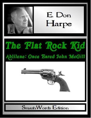 Book cover of The Flat Rock Kid