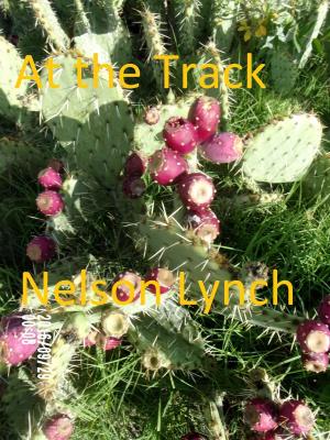 Book cover of At the Track
