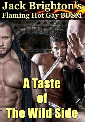 Book cover of A Taste of The Wild Side
