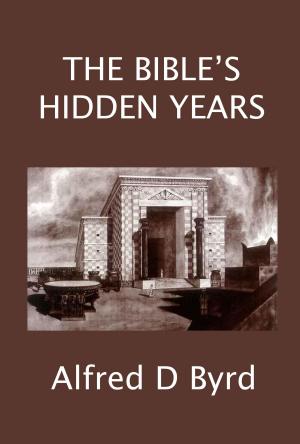 Cover of the book The Bible's Hidden Years by Michael Leonard