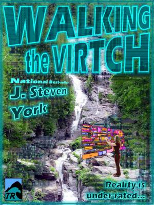 Cover of the book Walking the Virtch by Thomas Diehl