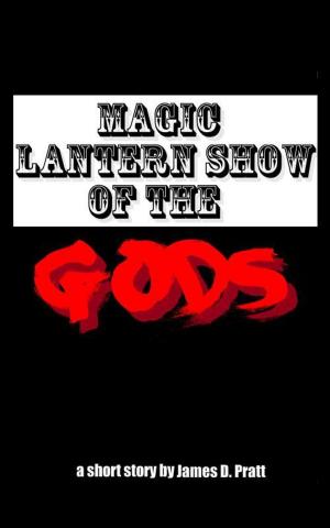 Cover of the book Magic Lantern Show of the Gods by suzanne seidel