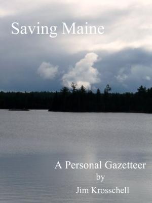 Cover of the book Saving Maine: A Personal Gazetteer by Ruth Winter