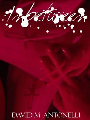 Cover of the book Inbetween by Brenda Santorini