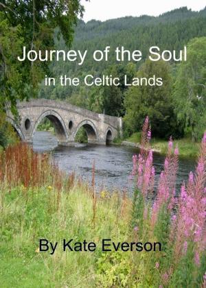 Book cover of Journey of the Soul