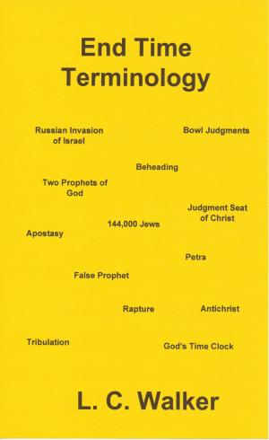 bigCover of the book End Time Terminology by 