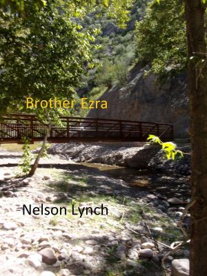 Cover of the book Brother Ezra by Lucy Lelens