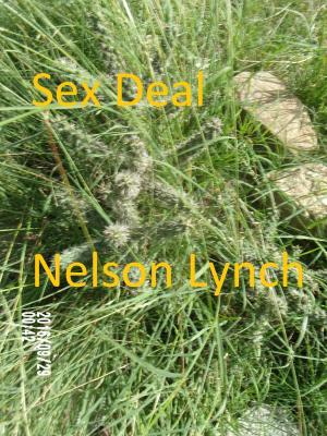 Book cover of Sex Deal