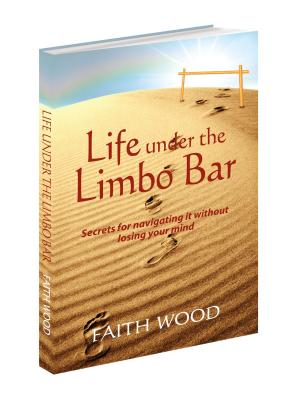 Book cover of Life Under the Limbo Bar