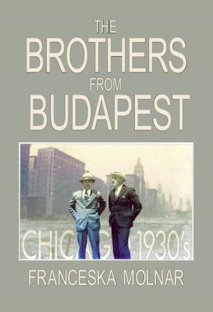 Cover of The Brothers From Budapest
