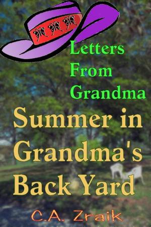 Book cover of Summer In Grandma's Back Yard