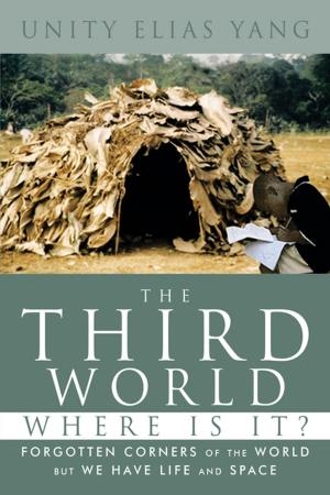 Book cover of The Third World Where Is It?