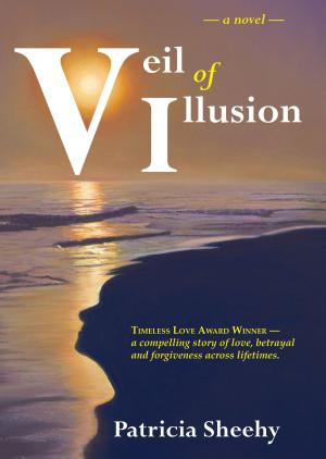 Cover of the book Veil of Illusion by Cathryn Hein