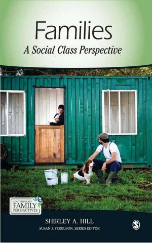 Cover of the book Families by Professor Jan A G M van Dijk