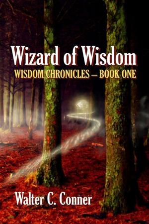 Cover of the book Wizard Of Wisdom by Jedaiah Ramnarine