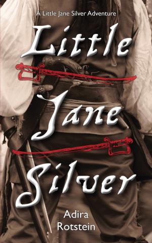 Book cover of Little Jane Silver