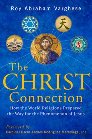 Book cover of Christ Connection