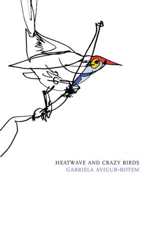 Cover of the book Heatwave and Crazy Birds by Jean Rolin