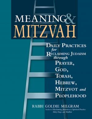 Cover of the book Meaning & Mitzvah by J. Zohara Meyerhoff Hieronimus, D.H.L.