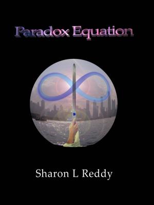 Book cover of Paradox Equation: Part One