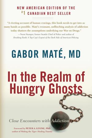 Cover of the book In the Realm of Hungry Ghosts by Mark Stephens