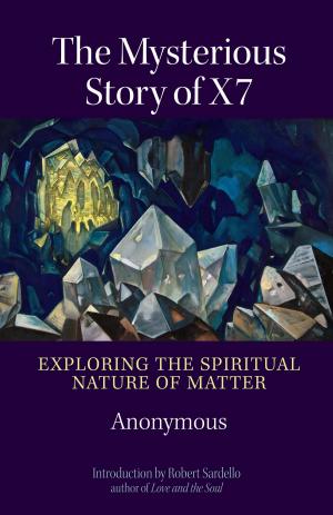 Book cover of The Mysterious Story of X7