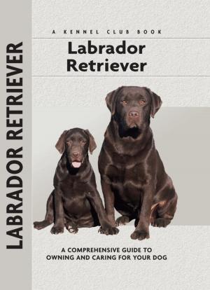 Cover of the book Labrador Retriever by Juliette Cunliffe