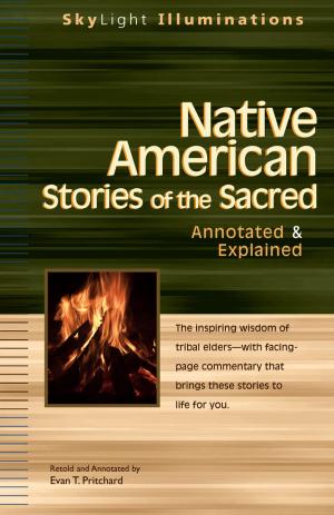 Cover of the book Native American Stories of the Sacred by Frank Murray